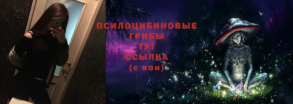 ГАЛЛЮЦИНОГЕННЫЕ ГРИБЫ Осинники