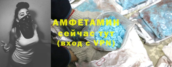 ГАЛЛЮЦИНОГЕННЫЕ ГРИБЫ Осинники