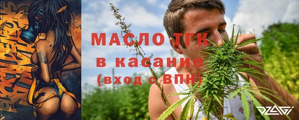 ГАЛЛЮЦИНОГЕННЫЕ ГРИБЫ Осинники