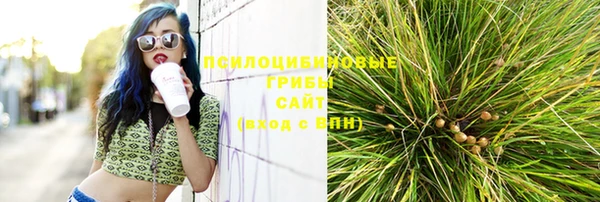 ГАЛЛЮЦИНОГЕННЫЕ ГРИБЫ Осинники