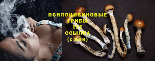 стафф Остров