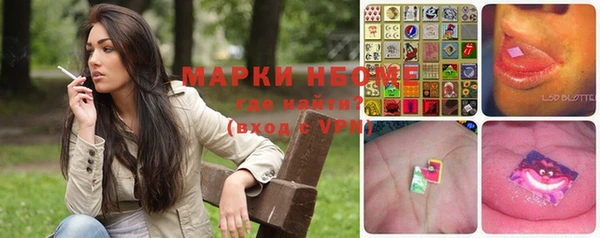 ГАЛЛЮЦИНОГЕННЫЕ ГРИБЫ Осинники