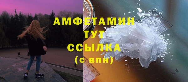 ГАЛЛЮЦИНОГЕННЫЕ ГРИБЫ Осинники