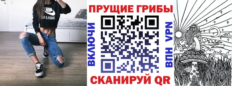 Псилоцибиновые грибы MAGIC MUSHROOMS  Купить где  Новочебоксарск 